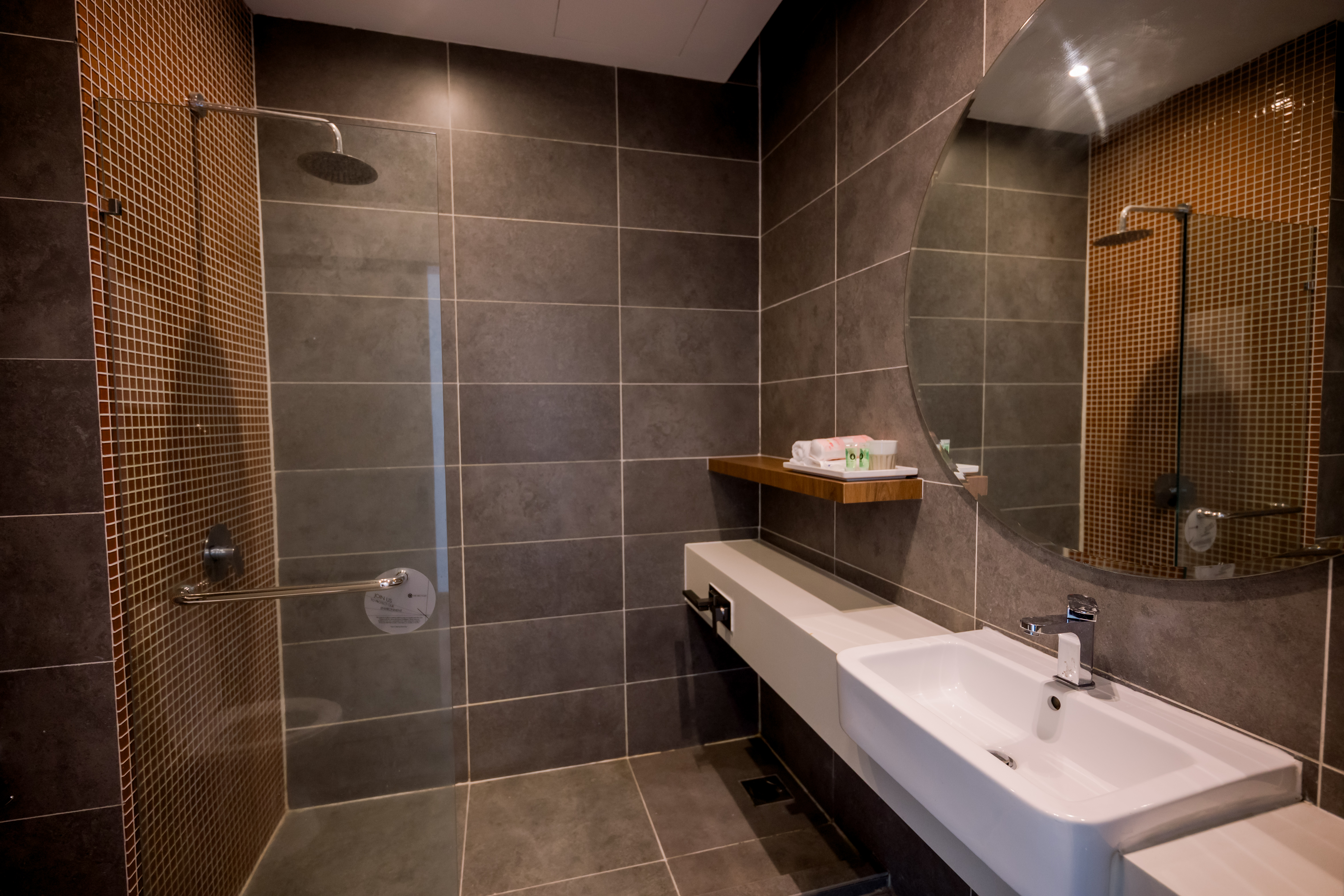 Ensuite sink and vanity
